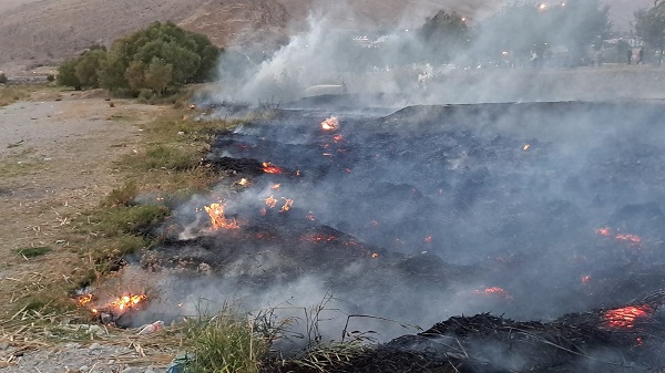 Foto - Van Gölü sahilinde yangın