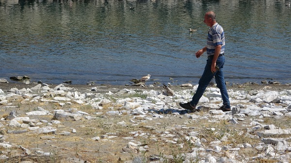 Foto - Van Gölü’nde acı fotoğraf