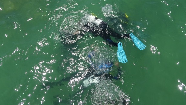 Foto - Van Gölü'nde dalış sezonu açıldı