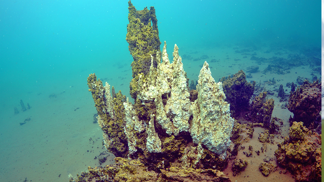 Foto - Van gölünde esrarengiz keşif:Kimse bunu beklemiyordu