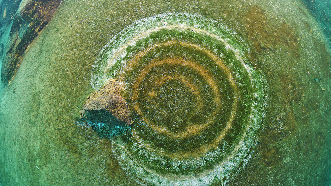 Foto - Van gölünde esrarengiz keşif:Kimse bunu beklemiyordu