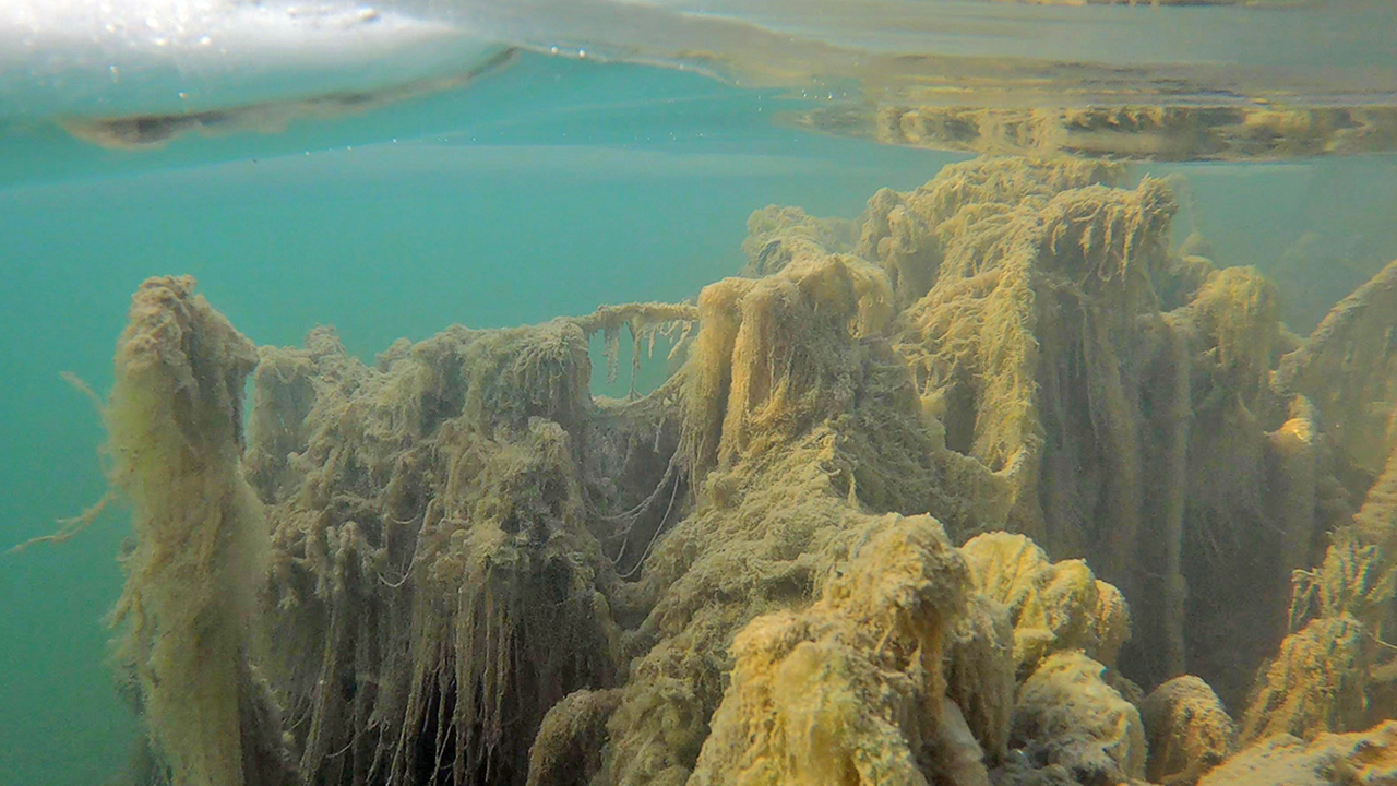 Foto - Van gölünde esrarengiz keşif:Kimse bunu beklemiyordu
