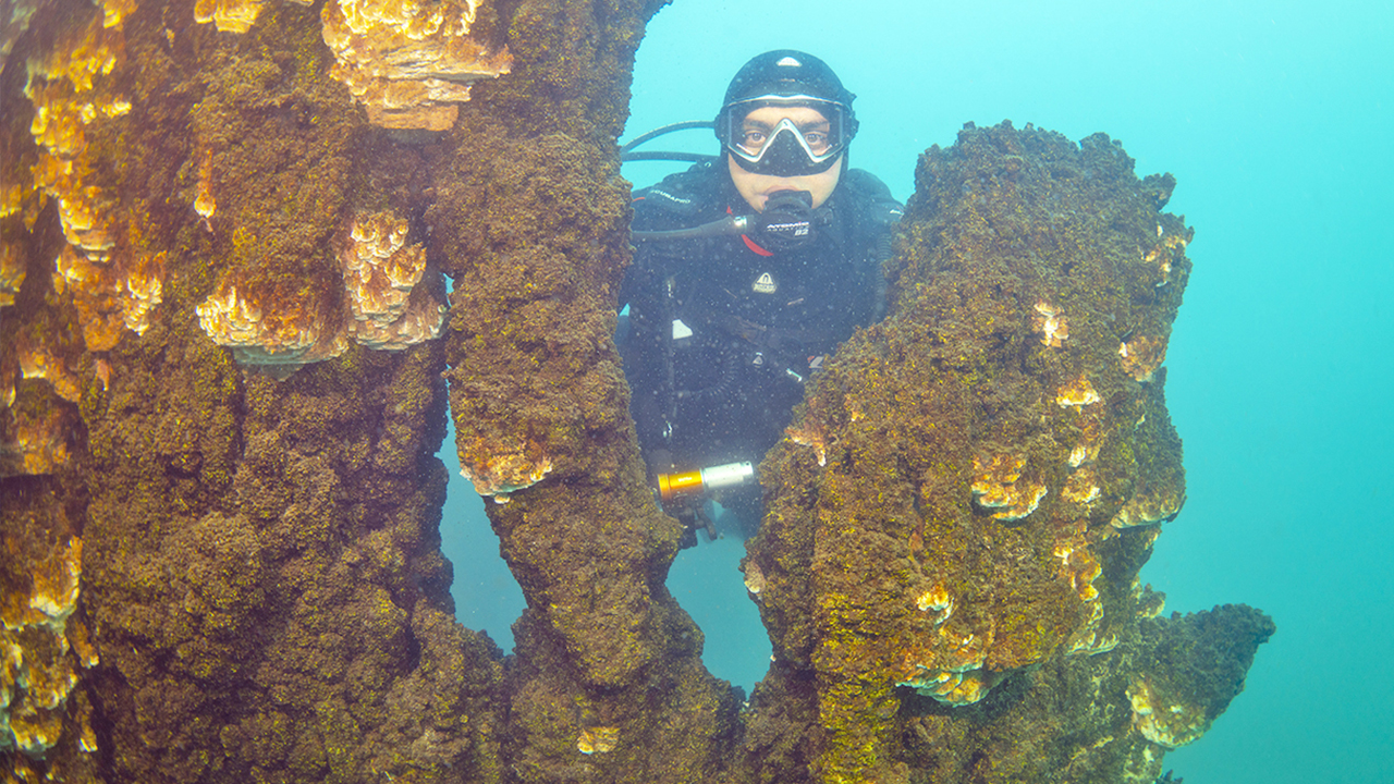 Foto - Van gölünde esrarengiz keşif:Kimse bunu beklemiyordu