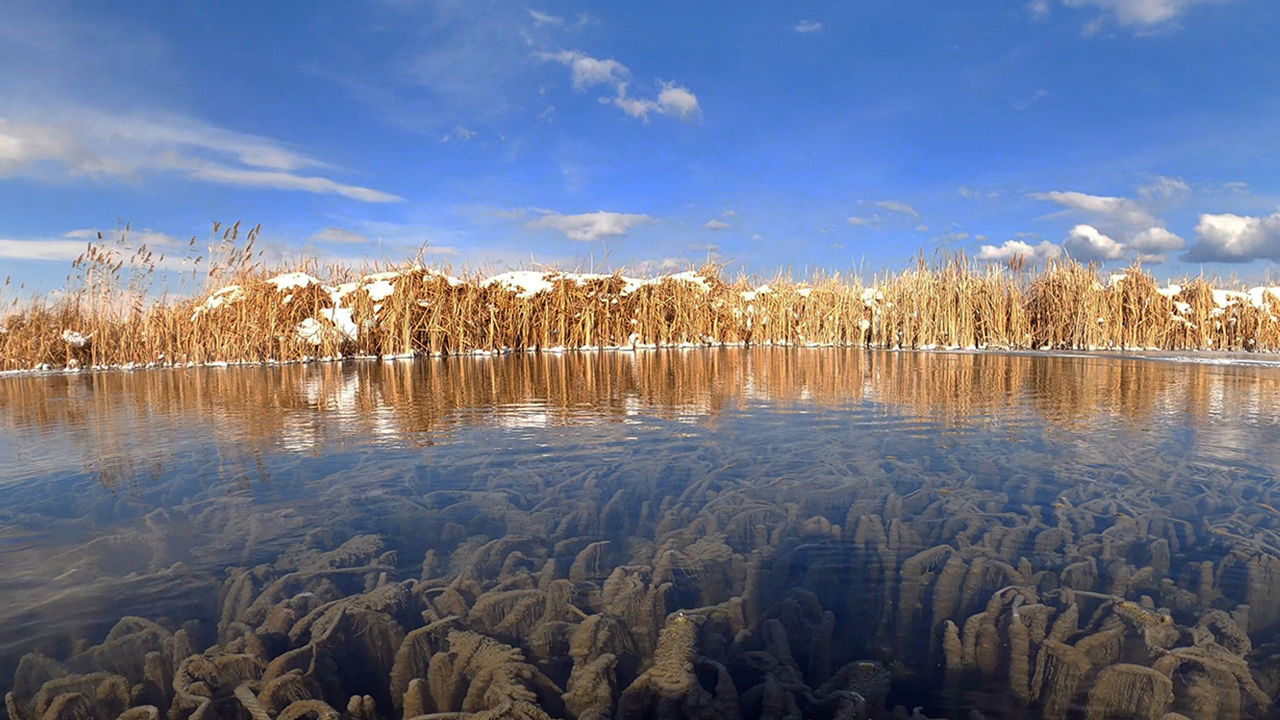 Foto - Van gölünde esrarengiz keşif:Kimse bunu beklemiyordu