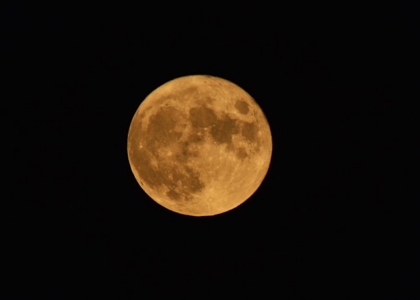 Foto - Van Gölü'nde hayran bırakan kareler!