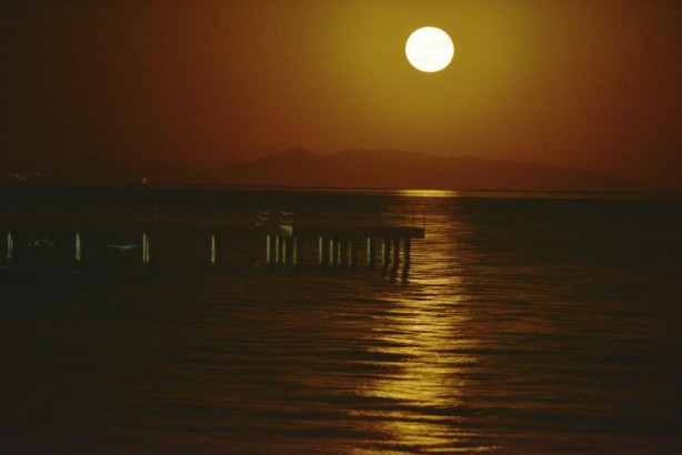 Van Gölü'nde hayran bırakan kareler!