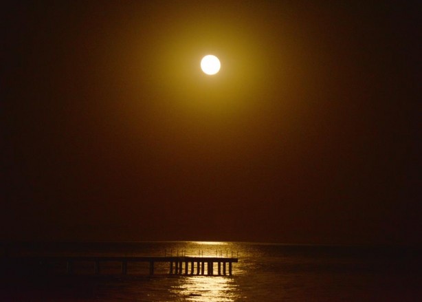 Foto - Van Gölü'nde hayran bırakan kareler!