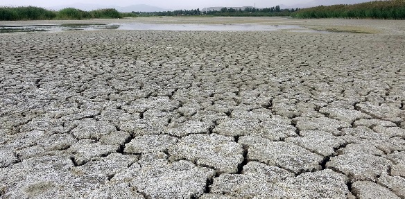 Foto - Van Gölü'nde kuraklık! Sular çekildi bakın ortaya ne çıktı