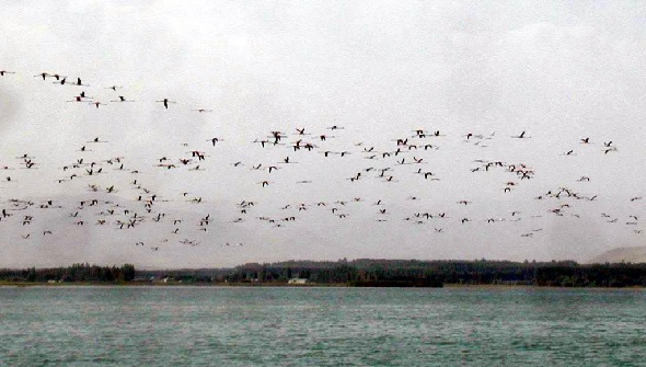 Foto - Van Gölü'nde kuraklık! Sular çekildi bakın ortaya ne çıktı