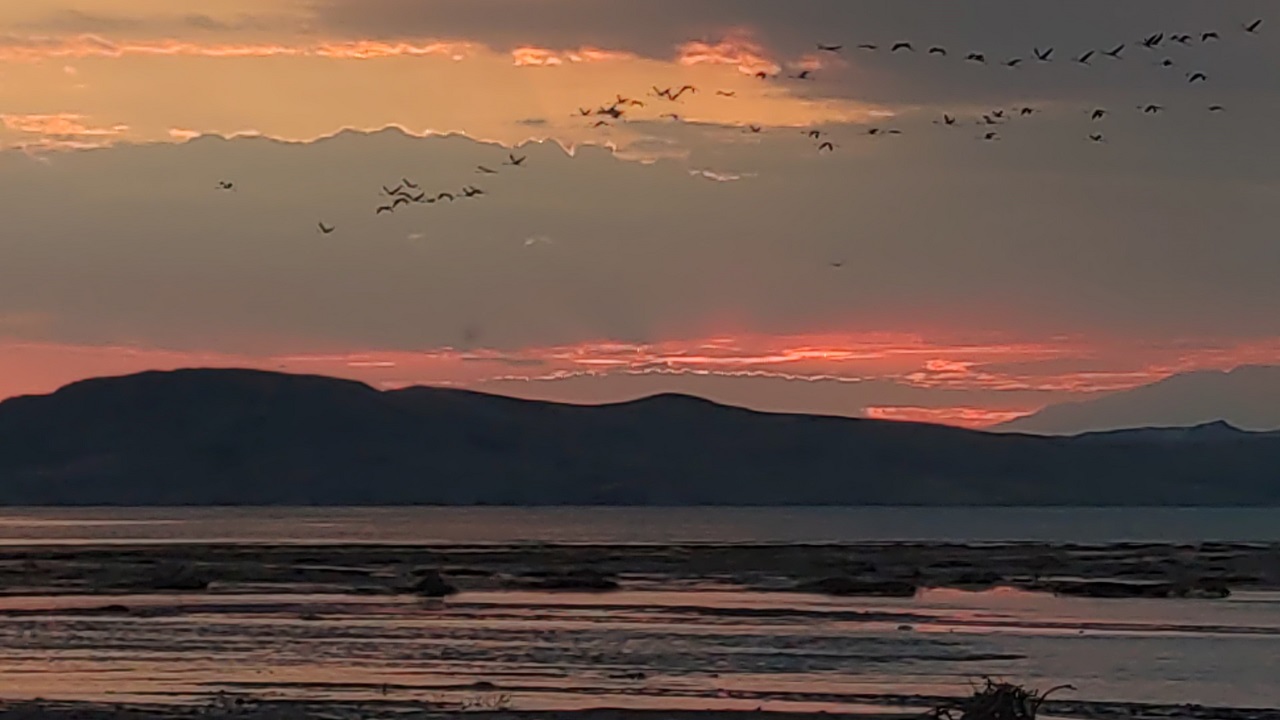 Foto - Van Gölü'nde nefes kesen manzara