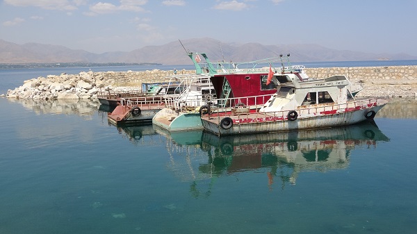 Foto - Van Gölü'nde son durum! Bu barınaklar bilimsel çalışmalara konu oldu