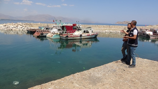 Foto - Van Gölü'nde son durum! Bu barınaklar bilimsel çalışmalara konu oldu