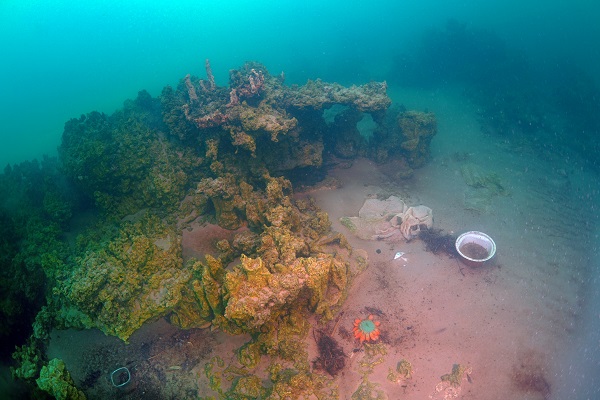 Foto - Van Gölü'nde su altı robotuyla temizlik yapıldı! Gölün derinliklerinden çıkanlar ‘Yok Artık’ dedirtti