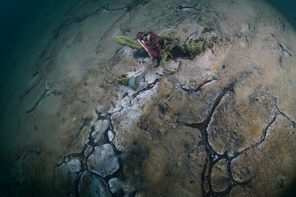 Van Gölü'nde su altı robotuyla temizlik yapıldı! Gölün derinliklerinden çıkanlar ‘Yok Artık’ dedirtti