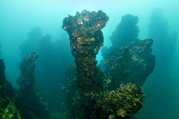 Van Gölü'ndeki mikrobiyalitler böyle korunacak