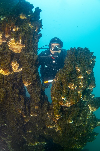 Foto - Van Gölü'ndeki mikrobiyalitler böyle korunacak