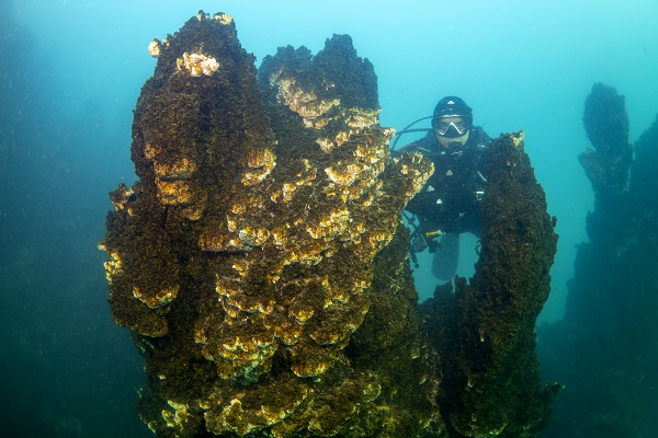 Foto - Van Gölü'ndeki mikrobiyalitler böyle korunacak
