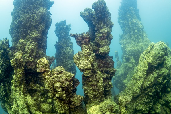 Foto - Van Gölü'ndeki mikrobiyalitler böyle korunacak