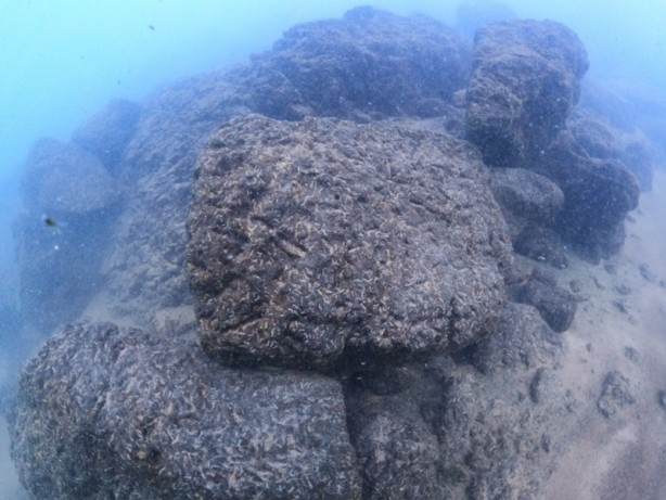 Foto - Van Gölü'nün çekilmesiyle Urartu limanı ortaya çıktı! Su altından görüntülendi