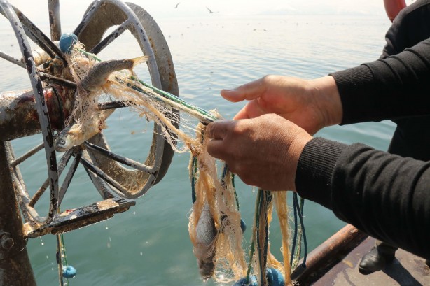 Foto - Van Gölü’nün eşsiz lezzeti: İnci kefali