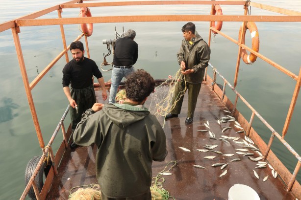 Foto - Van Gölü’nün eşsiz lezzeti: İnci kefali