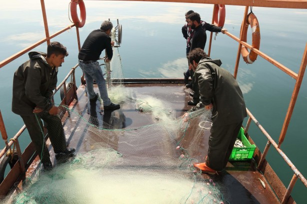 Foto - Van Gölü’nün eşsiz lezzeti: İnci kefali