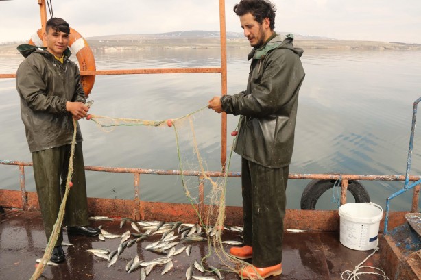 Foto - Van Gölü’nün eşsiz lezzeti: İnci kefali