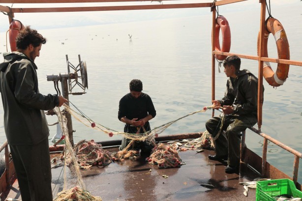 Foto - Van Gölü’nün eşsiz lezzeti: İnci kefali