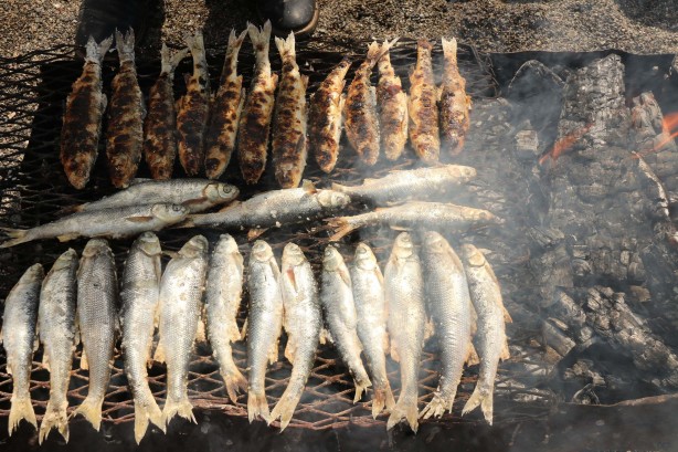 Foto - Van Gölü’nün eşsiz lezzeti: İnci kefali