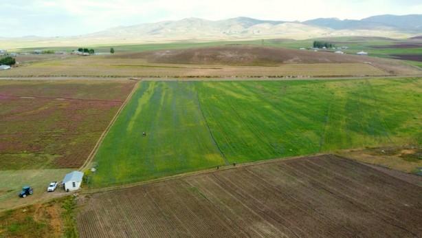Van-Özalp'ta 1500 ton arpa hasadı bekleniyor
