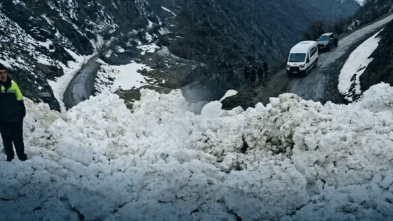 Van'da çığ düştü! O bölgelere ulaşım kapandı!