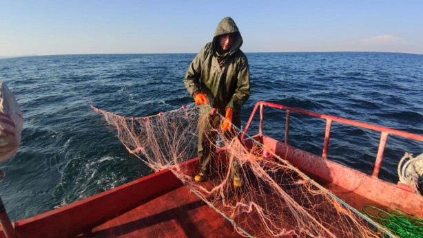 Van'da inci kefali av yasağı sonra erdi