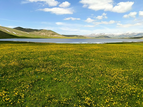 Foto - Van'da kartpostallık manzara hayran bıraktı
