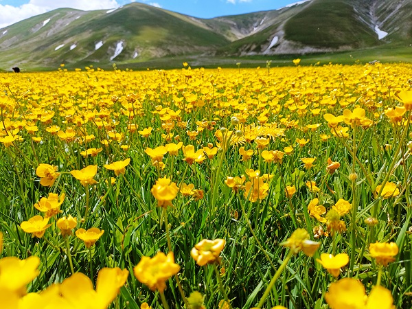 Foto - Van'da kartpostallık manzara hayran bıraktı