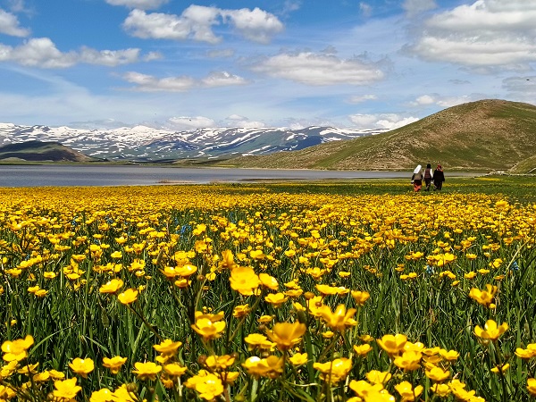Foto - Van'da kartpostallık manzara hayran bıraktı