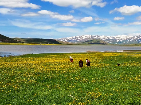Foto - Van'da kartpostallık manzara hayran bıraktı