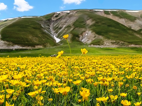Foto - Van'da kartpostallık manzara hayran bıraktı