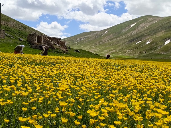 Foto - Van'da kartpostallık manzara hayran bıraktı
