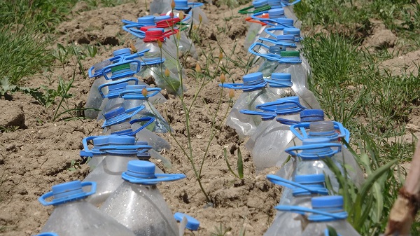 Foto - Van'da susuz tarım dönemi! Kuraklıkla mücadelede ilginç yöntem