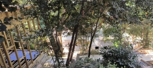 Foto - Vaniköy’deki skandalda yeni detay! İmamoğlu İBB'si katliamı yalan belgeyle yapmış!