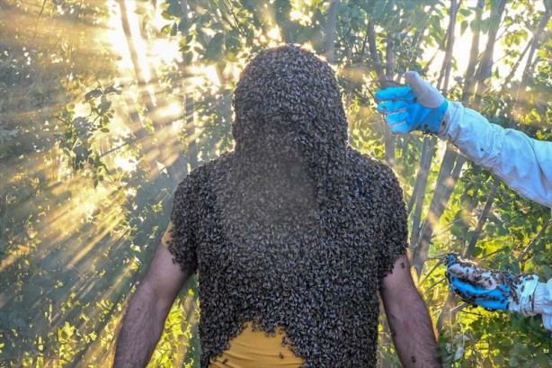 Foto - Sen ne yaptın böyle! Vanlı adam herkesi şok etti! O görüntüler ağızları açık bıraktı