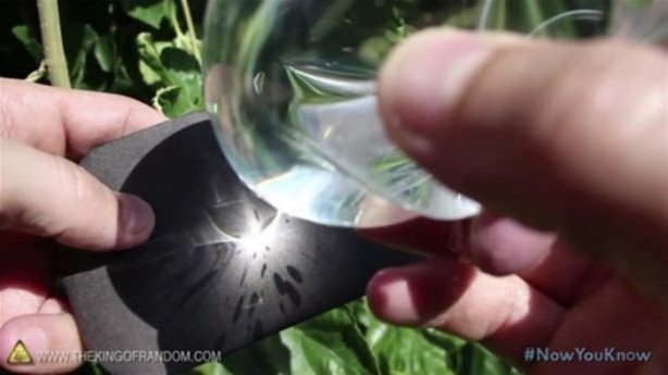 Foto - Varilden yaptığı şeye çok şaşıracaksınız!