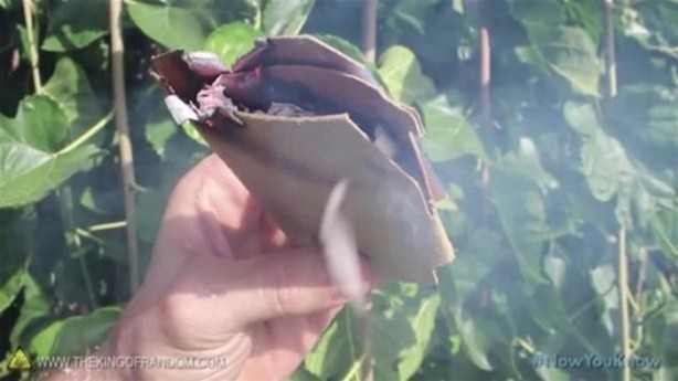 Foto - Varilden yaptığı şeye çok şaşıracaksınız!