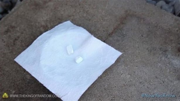 Foto - Varilden yaptığı şeye çok şaşıracaksınız!