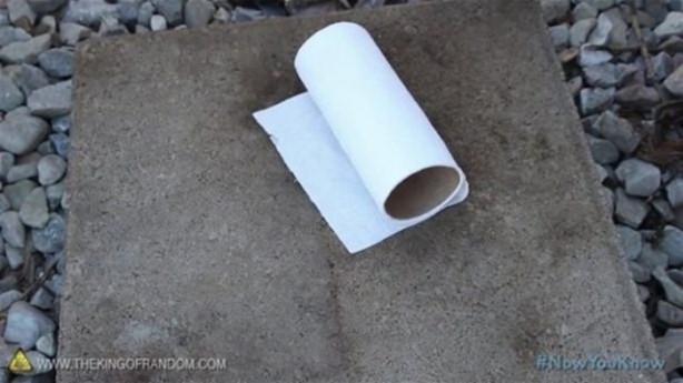 Foto - Varilden yaptığı şeye çok şaşıracaksınız!