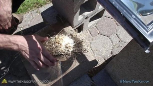 Foto - Varilden yaptığı şeye çok şaşıracaksınız!