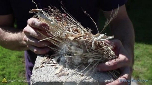 Foto - Varilden yaptığı şeye çok şaşıracaksınız!