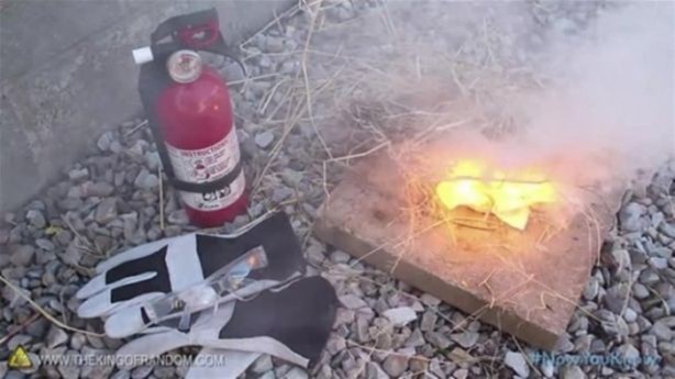 Foto - Varilden yaptığı şeye çok şaşıracaksınız!