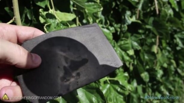 Foto - Varilden yaptığı şeye çok şaşıracaksınız!