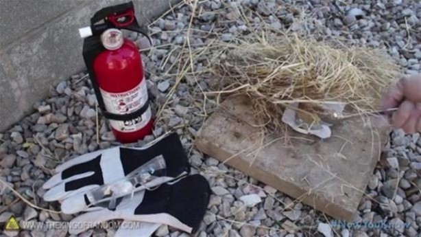 Foto - Varilden yaptığı şeye çok şaşıracaksınız!